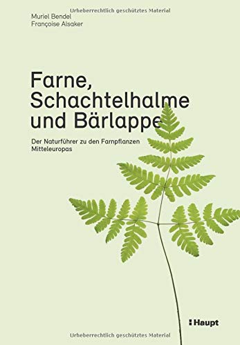 Farne, Schachtelhalme und Bärlappe: Der Naturführer zu den...