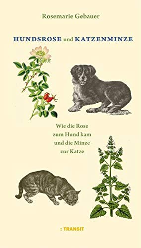 Hundsrose und Katzenminze: Wie die Rose zum Hund kam und die Katze zur...