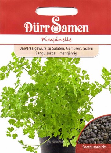 Dürr Samen 0187 Pimpinelle (Pimpinellensamen)