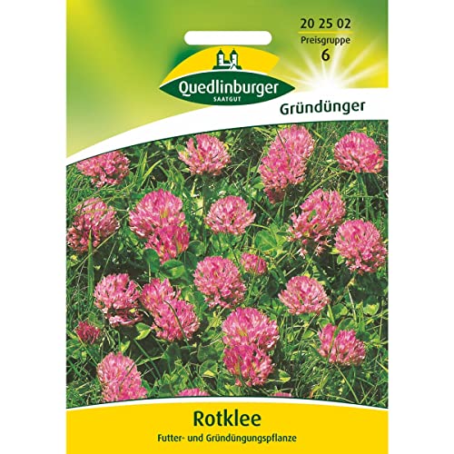 Rotklee
