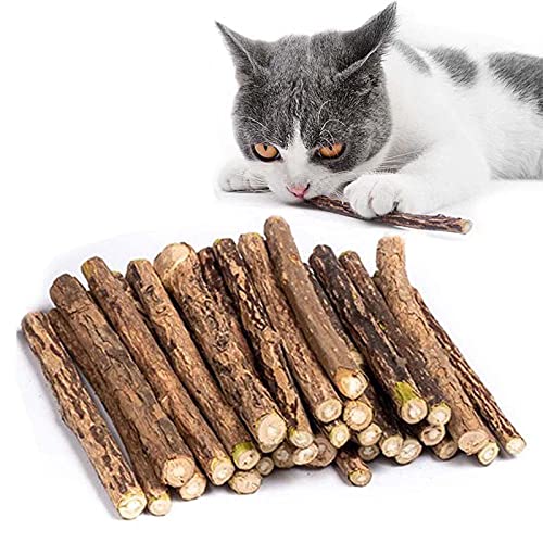 Kito Lee 30 Stück Katzenminze Sticks, Matatabi Katzen Kauhölzer,...