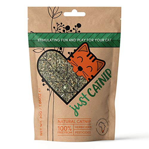 Just Catnip - 100% natürliche Katzenminze für Katzen, angebaut in...