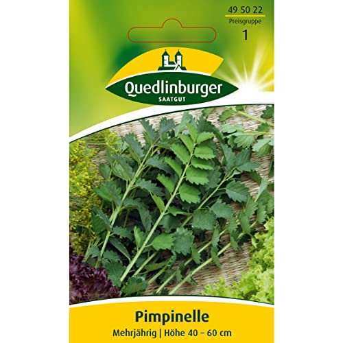 Pimpinelle, Sanguisorba minor, Samen für 2 lfm.