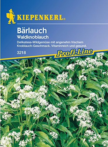 Sperli Gemüsesamen Waldknoblauch Bärlauch, grün